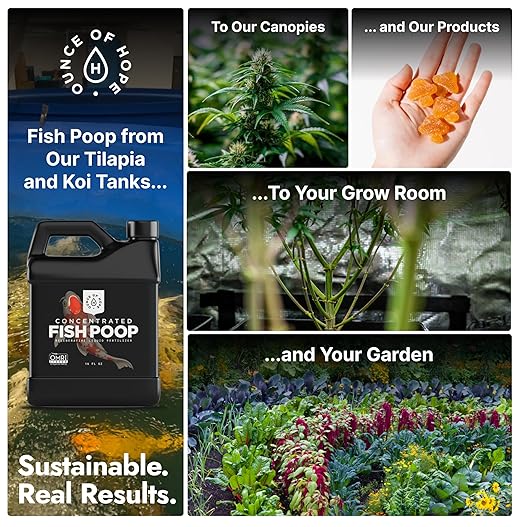Ounce Of Hope OMRI Listed Organic Concentrated Fish Poop - Liquid Fertilizer for Vegetable Gardens, Indoor Plant Food for Houseplants, Hydroponic Nutrients, Soil Amendment (1 Gallon)