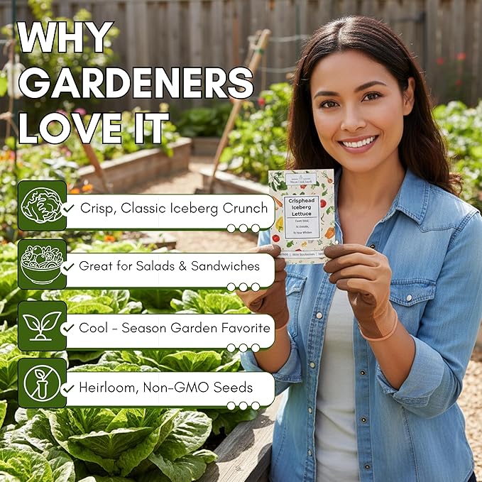 Crisphead Iceberg Lettuce Seeds for Planting - Heirloom, Non-GMO Head Variety with Dense, Crunchy Heads for Fresh Salads, Sandwiches, and Home Garden Growing | Woods Creek Seeds