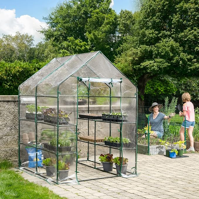 Miracle-GRO 4'8" x 4'8" x 6'5" All-Season Small Walk-in Greenhouse with 8 Wire Shelves for Outdoors, Easy-Access and Durable, Translucent