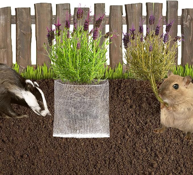 Pack 8 Root Guard Speed Baskets ,4 Size Gopher basket, Mole And Vole Mesh Wire Baskets for Plant Berries Vegetables Root Protection,Bulb Baskets For Planting (1 Gallon*5, 3 Gallon*2, 5 Gallon*1)