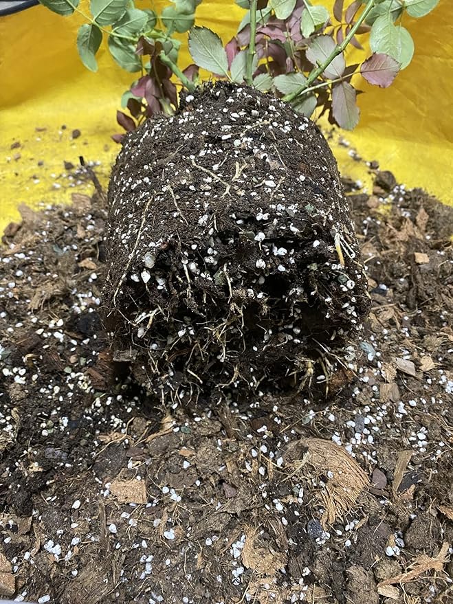 Voulosimi 5QT Organic Perlite Horticultural Soil Amendment for Plants and Enhanced Drainage Enhanced Growth(5-8mm), ZZ-154512156