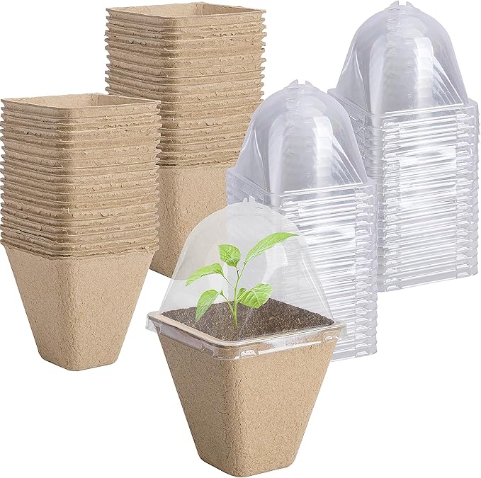 PURPLE STAR 1N 40 Pcs Square Biodegradable Seed Starter Pots with Humidity Dome - 3.1 Inch Square Planter for Outdoor Garden Vegetable Flower Germination