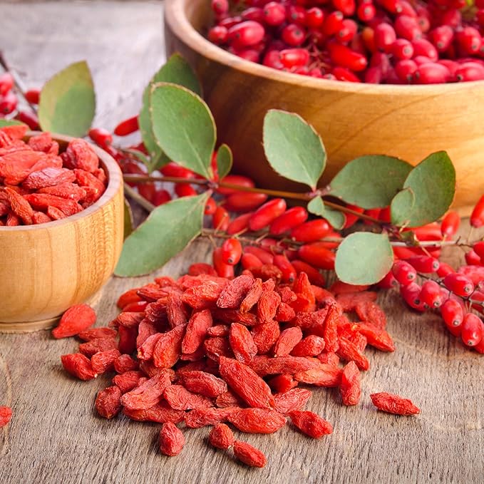 Garden State Bulb Common Goji Berry Tree Bare Roots, Non-GMO (Bag of 2)