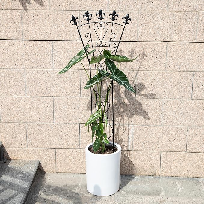 3pcs Indoor Climbing Plant Trellis 46x15.5in Heavy Duty Durable Iron Decorative Support for Monstera, Pothos, and Houseplants Ideal for Vertical Growth in Garden, Balcony, and Indoor Spaces