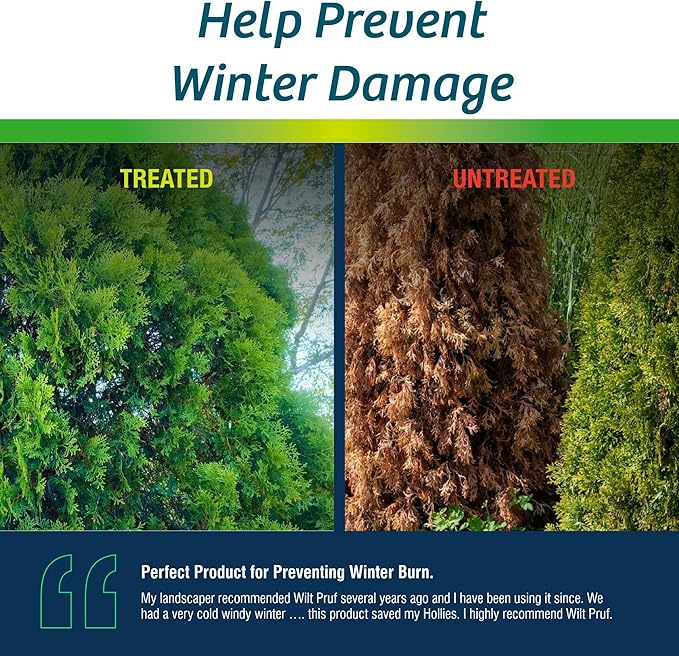 Wilt-Pruf® Original Winter Plant Protection | Ready-to-Spray | Maximum Strength Against Winter Burn/Damage | Replaces Burlap | Preserves Christmas Trees, Wreaths, Garland | Lasts up to 4 Mos | 32 oz