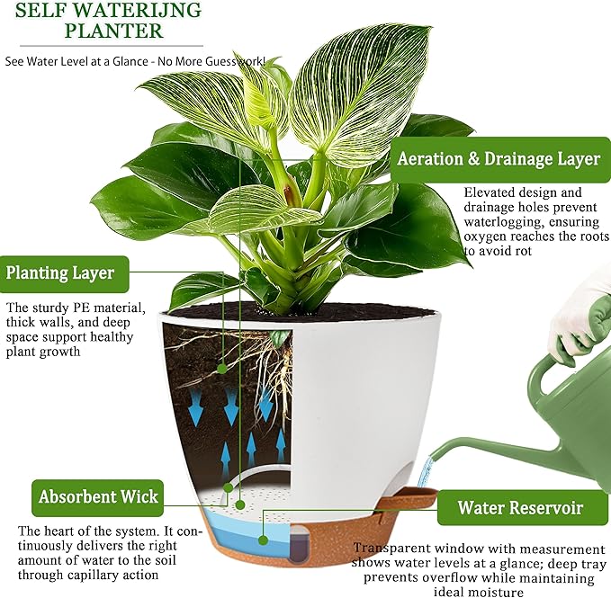 Fielda Self Watering Pots for Inoor Ourdoor Plants 8/7/6.5/6/5 Inch Plastic Planters with Drainage Holes & Water Level Indicator, Decorative House Flower Nursery Planting Pots with Saucers (White)