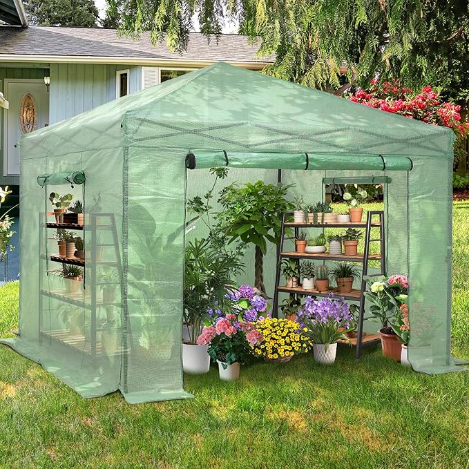 GDY 10X10FT Instant Pop-up Greenhouse, Walk-in Plant Gardening Green House with PE Cover/Roll-Up Zipper Doors/Side Windows for Indoor, Backyard and Outside, Green/Clear.