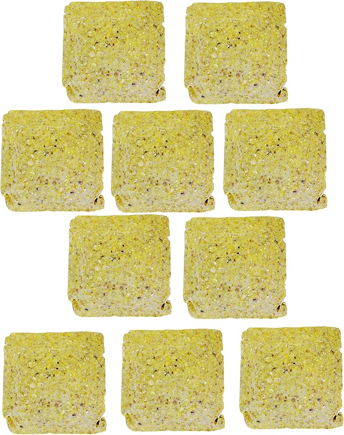 ST. ALBANS BAY SUET PLUS Suet Cake Variety Packs | 11 oz. Wild Bird Suet Cakes | (Pecan, 10 Pack)