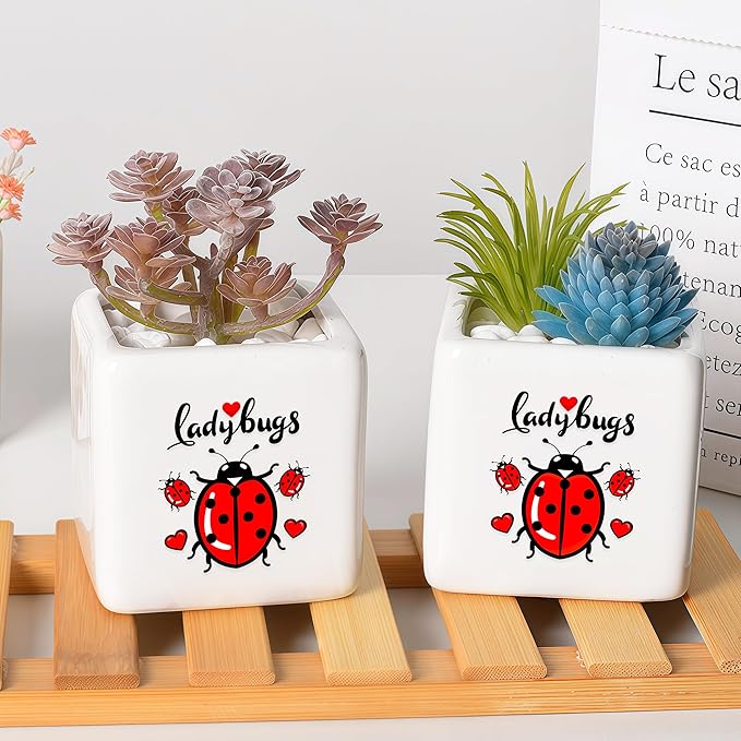 BJDAMAI Ladybugs Succulent Planter Flower Plant Pot Small, Gifts for Women Teens Girls Kids, Ladybugs Lovers Themed Stuff Accessories Things Decor Merch, Home Office Table Desk Decoration!