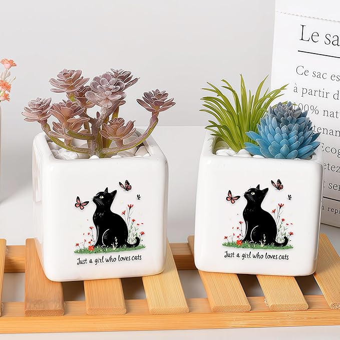 BJDAMAI Black Cat Succulent Planter Flower Plant Pot Small, Gifts for Women Teens Girls Kids, Cat Lovers Themed Stuff Accessories Things Decor Merch, Home Office Table Desk Decoration!