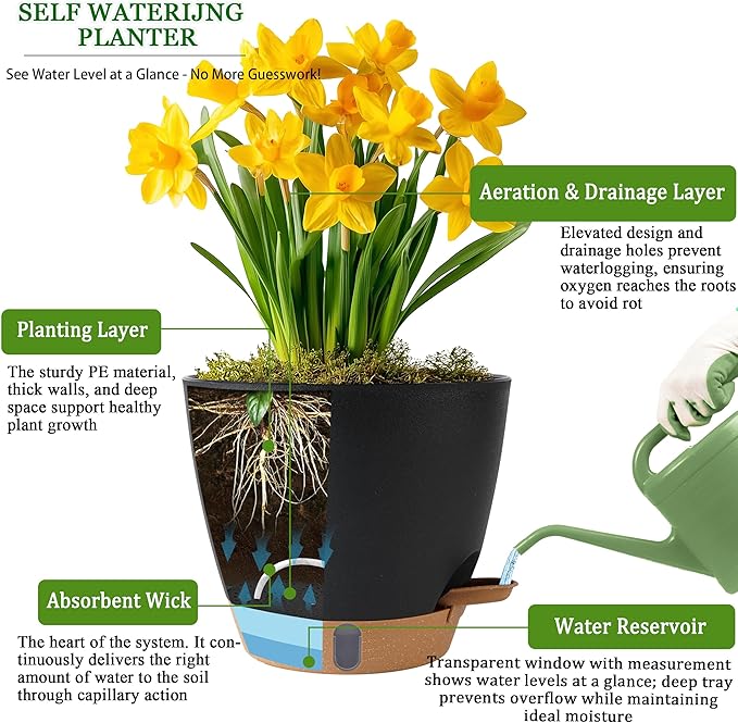 Fielda Self Watering Pots for Inoor Ourdoor Plants 8/7/6.5/6/5 Inch Plastic Planters with Drainage Holes & Water Level Indicator, Decorative House Flower Nursery Planting Pots with Saucers (Black)