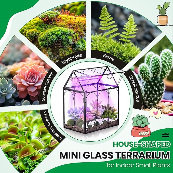 Meonum Tiny Glass Terrarium Kit with Grow Light, 7.1 x 4.7 x 8.7 Venus Fly Trap Terrarium with Absorbent Mat, Timer&3 Light Modes for Succulent Live Air Plants Indoor Home Office Decor (USB Powered)