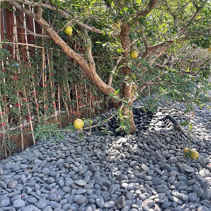 FANTIAN 40 lbs Natural Black Rocks Mexican Beach Pebbles, 2-3 Inch Decorative Black River Rocks for Landscaping, Garden, Paving, Fountain, Walkways and Outdoor Decorative Stones