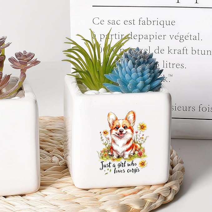 BJDAMAI Corgi Succulent Planter Flower Plant Pot Small, Gifts for Women Teens Girls Kids, Corgi Lovers Themed Stuff Accessories Things Decor Merch, Home Office Table Desk Decoration!