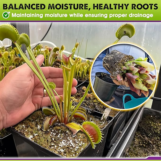 DUSPRO Carnivorous Plant Soil Mix 3QT-Include Forest Moss, Peat Moss, Perlite Potting Mix for Carnivorous Plants, Carnivorous Plants, Pitcher Plant, Butterworts, Sundews - Carnivorous Plant
