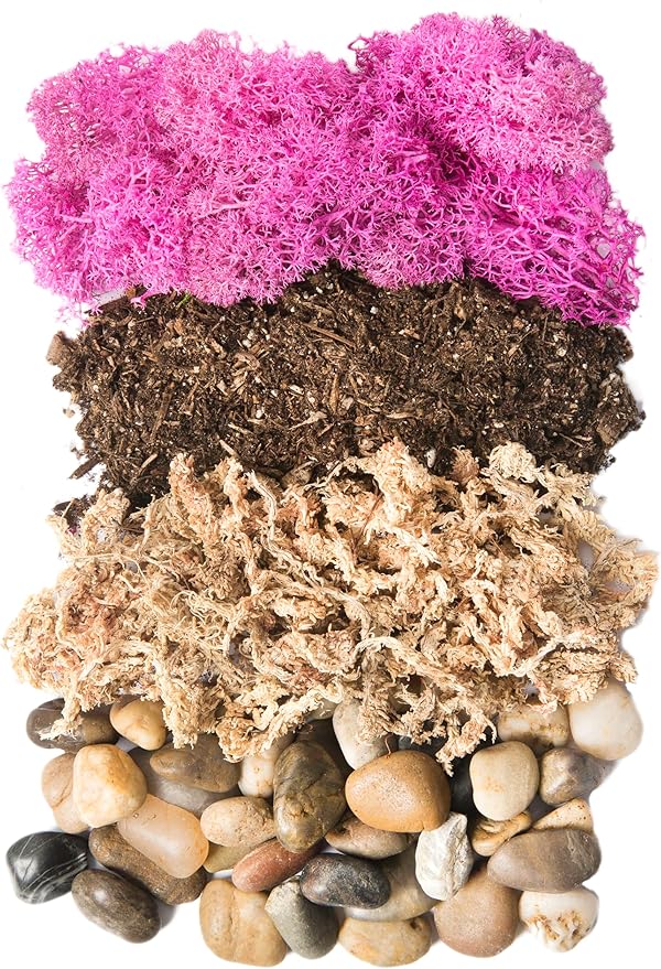 SuperMoss (90412) Terrarium Kit DIY Jar - Newport 32oz