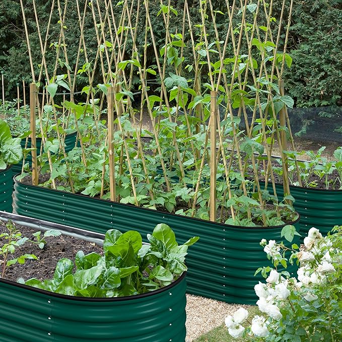 BlueWish 8ftx2ftx2ft Raised Garden Beds with 4 Aluminum Support Rods, Raised Garden Beds Outdoor with Rubber Strip, Bottomless Design, Metal Garden Bed for Vegetable, Flower,Herbs