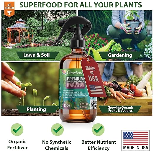 GARDENERA Professional Organic Liquid Kelp Spray for Snake Plant Plants - 8 oz - Ready-to-Use Fully Organic Seaweed & Kelp Fertilizer Mist