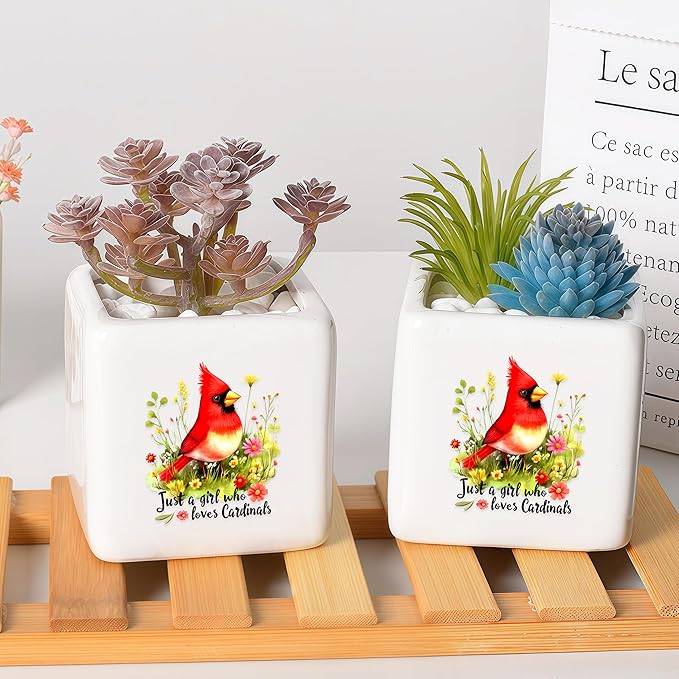 BJDAMAI Cardinal Succulent Planter Flower Plant Pot Small, Gifts for Women Teens Girls Kids, Cardinal Lovers Themed Stuff Accessories Things Decor Merch, Home Office Table Desk Decoration!