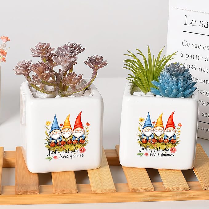 BJDAMAI Gnomes Succulent Planter Flower Plant Pot Small, Gifts for Women Teens Girls Kids, Gnomes Lovers Themed Stuff Accessories Things Decor Merch, Home Office Table Desk Decoration!