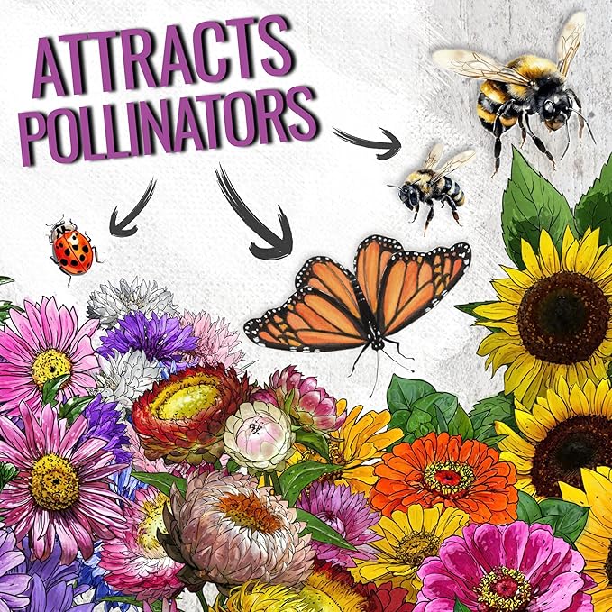 Seed Needs 2 Ounce Large Blooms Mix Hummingbird and Butterfly Garden Wildflower Flower Seeds for Planting | 7 Varieties Open Pollinated | Resealable Package Live Wild Flower Seed | Bulk