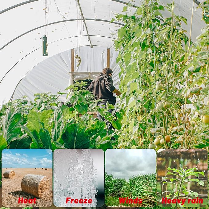 6 Mil Clear Greenhouse Plastic Sheeting,9.8FTx19.7FT Transparent Plastic Film for Greenhouse, Resistant Polyethylene Film for Farm,Garden…