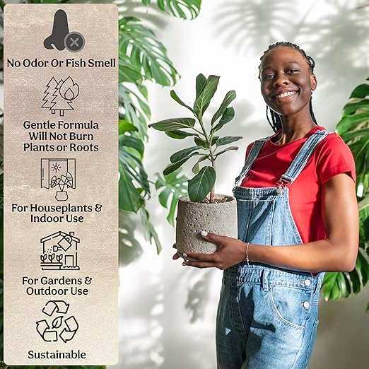 Grow Queen All-in-One Complete Organic Plant Food, Indoor Plant Fertilizer, for Houseplants, Organic Fertilizer for Vegetable Gardens, 11 Formulated Single Servings Feeds 22 gal Fast and Slow Release