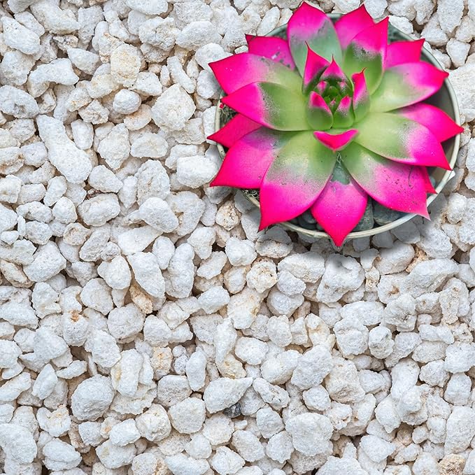 GARDENWISE Perlite for Plants, Extra Coarse Grade 4 Horticultural Perlite, Organic Perlite for Gardening Indoor & Outdoor, Made in USA (20 quarts)