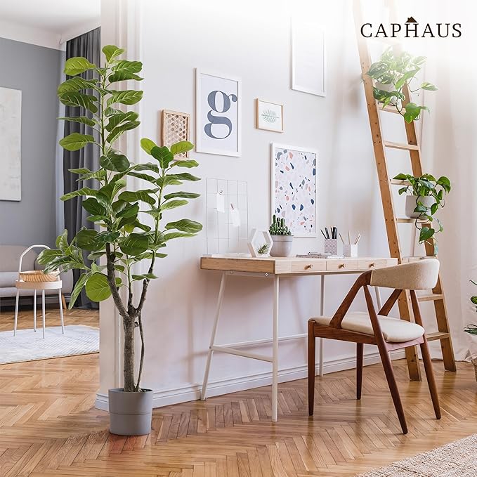 CAPHAUS Artificial Fiddle Leaf Fig Tree, 6/7 Feet in Pot with Dried Moss, for Indoor House Home Office Store, Potted Ficus Lyrata Faux Tree, Fake Plant Modern Decoration Gift for Housewarming