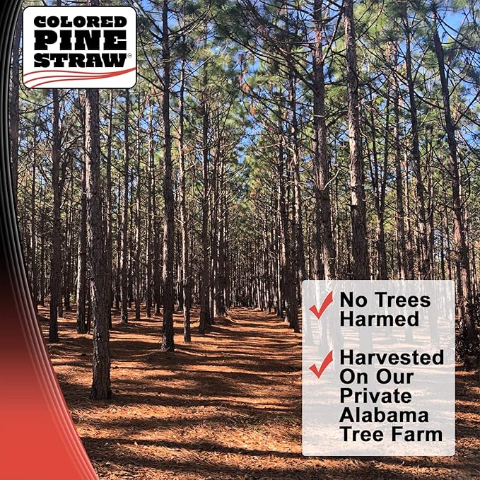 Longleaf Pine Straw Roll for Landscaping - Red Color UV Resistant - Covers 125 Square Feet or More