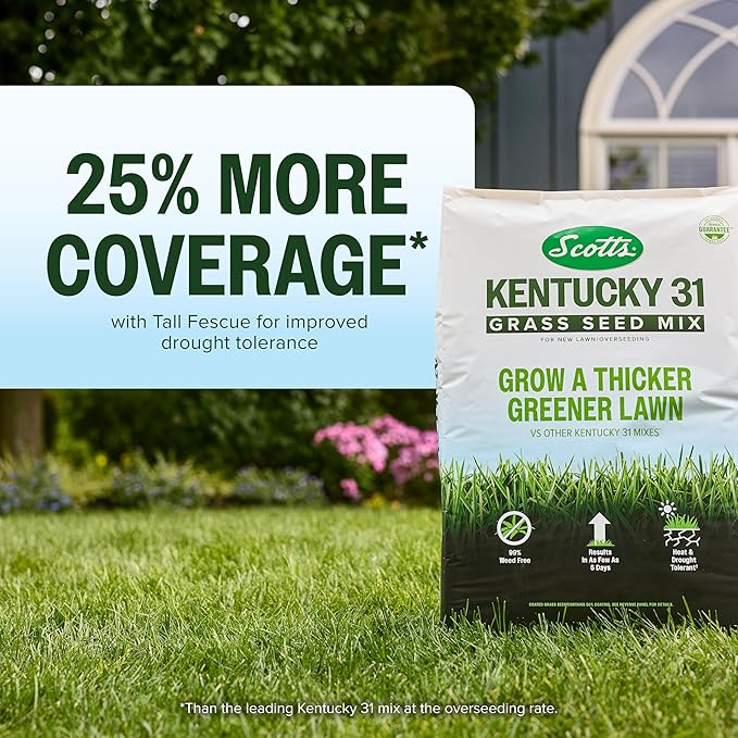 Scotts Kentucky 31 Grass Seed Mix for New Lawns or Overseeding, Grows Thicker and Greener vs. Other Kentucky 31 Mixes, Covers up to 5,000 sq. ft.