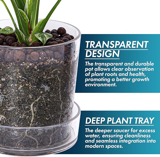 Phoenix Vine 6.5 Inch Clear Acrylic Planter Pot with Tray, Orchid Pot with Drainage Holes, Deep Saucer for Bottom Watering, Transparent Containers for Indoor Plants, Herbs, Set of 4, 91-A-F-4