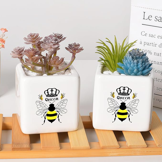 BJDAMAI Bee Succulent Planter Flower Plant Pot Small, Gifts for Women Teens Girls Kids, Bee Lovers Themed Stuff Accessories Things Decor Merch, Home Office Table Desk Decoration!