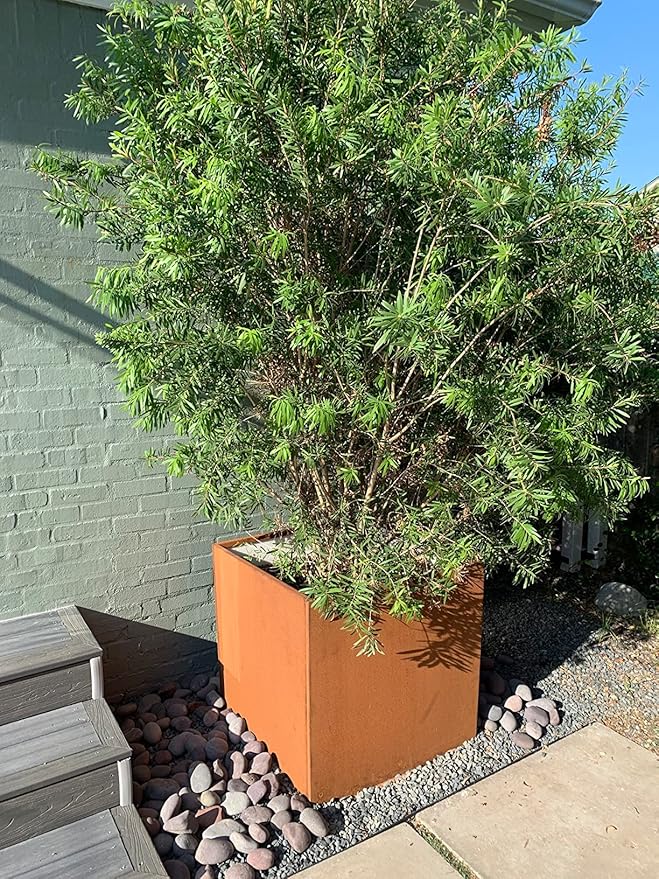 GZGNEEVL Corten Steel Planter Box Metal Square Planters Steel Large Planter Outdoor Tall Plant Durable Antique Detached for Commercial Residential Patio Deck and Backyard 26 Inch