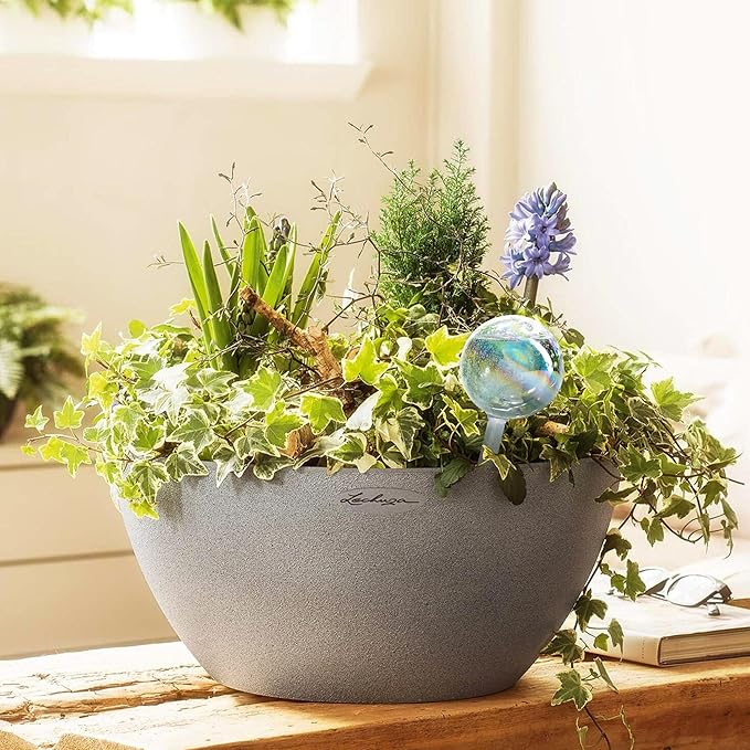 Mission Gallery Clear Plant Watering Globes Set of 6 - Small Self Watering Globes for Indoor & Outdoor Plants - Automatic, Glass Watering Bulbs for Daily Use, Plant Watering Devices