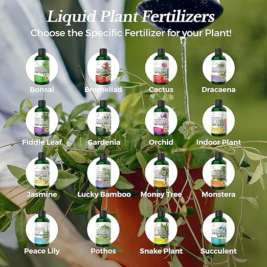 Professional Liquid Gardenia Plant Fertilizer | 3-1-2 Concentrate for Flowering Plants | Multi-Purpose Blend & Gardening Supplies | 8 oz Bottle