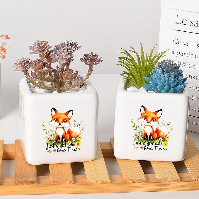 BJDAMAI Fox Succulent Planter Flower Plant Pot Small, Gifts for Women Teens Girls Kids, Fox Lovers Themed Stuff Accessories Things Decor Merch, Home Office Table Desk Decoration!