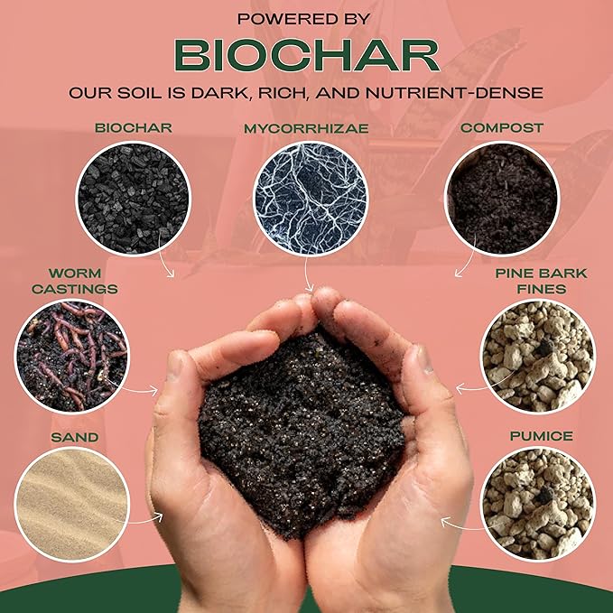 Rosy Soil Biochar Booster 8qt + Cactus & Succulent Potting Mix 4qt Organic Indoor Living Soil Bundle - Peat-Free, Fast Draining Mix with Mycorrhizae, Worm Castings & Biochar for Healthy Root Growth