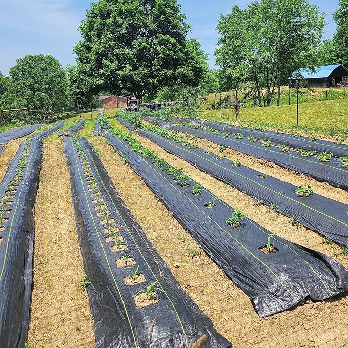 4ft x 300ft Durable Weed Barrier Fabric, 3oz Heavy-Duty Landscaping Fabric, Permeable Ground Cover for Garden, Lawn, and Outdoor Projects, Easy to Install, with 90 Staples