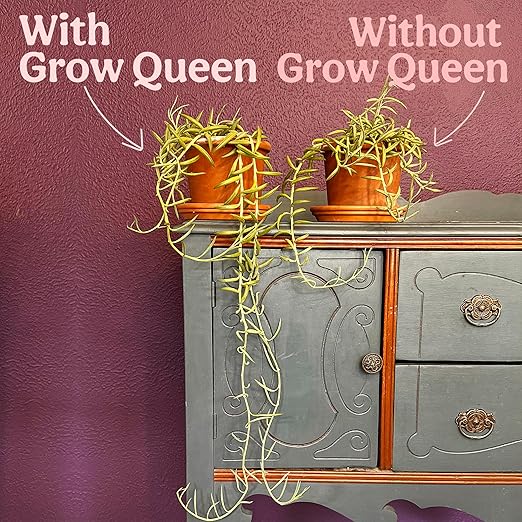 Grow Queen Complete Organic Cactus & Succulent Fertilizer, Succulent Plant Food & Cactus Food, Bonsai, Snake Plant Fertilizer, 7 Servings Fast & Slow Release Feeds up to 28 Plants 8 Months