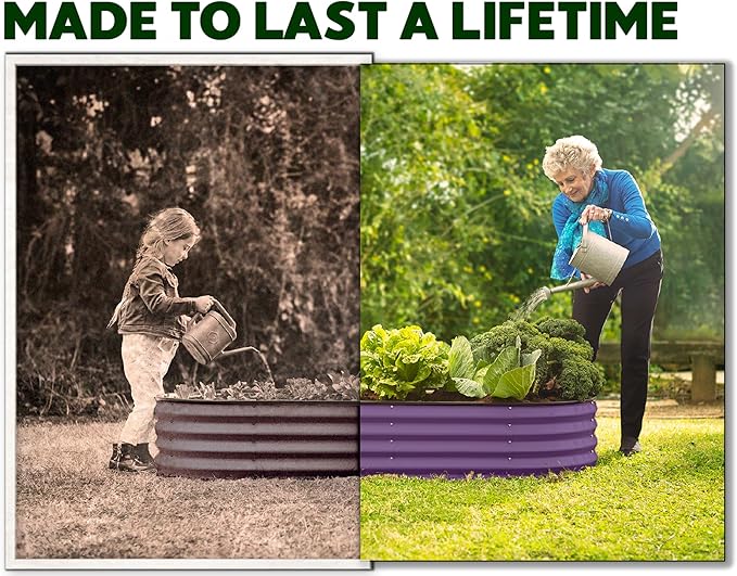 Galvanized Raised Garden Beds Outdoor // 4×2×1 ft (2-Pack) Planter Raised Beds for Gardening, Vegetables, Flowers (Purple) // Large Metal Garden Box