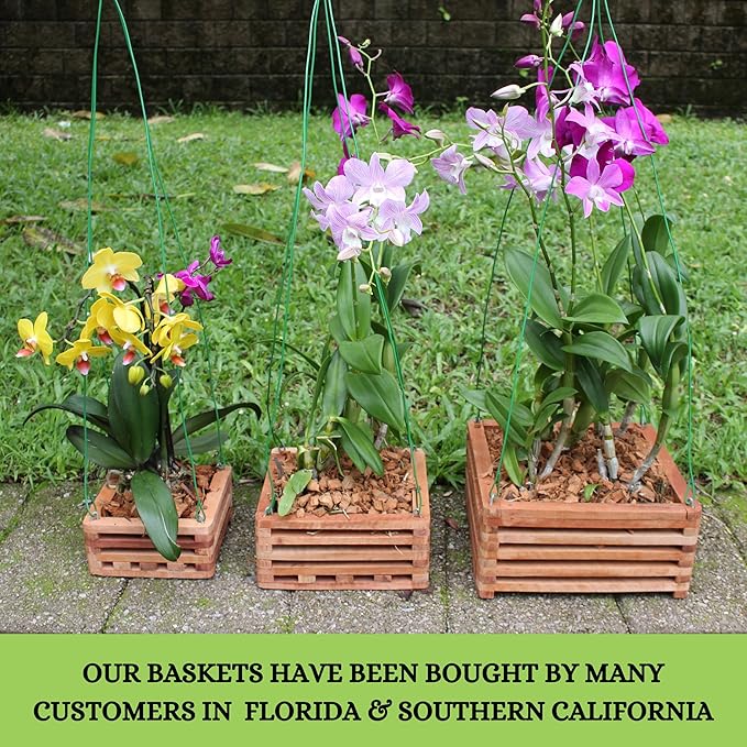 Set of 3 Strong Wooden Orchid Baskets with Hangers, Vanda Baskets for Outside