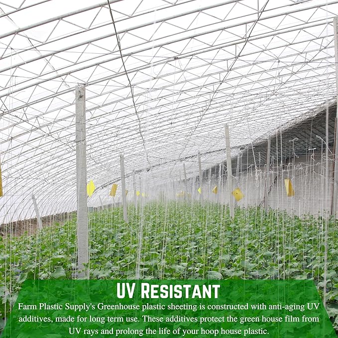 Farm Plastic Supply - String Reinforced 4 Year UV Resistant 10 mil Clear Greenhouse Plastic Sheeting - 4 Year UV Resistant Polyethylene Greenhouse Film, Hoop House Green House Cover (54' x 40')