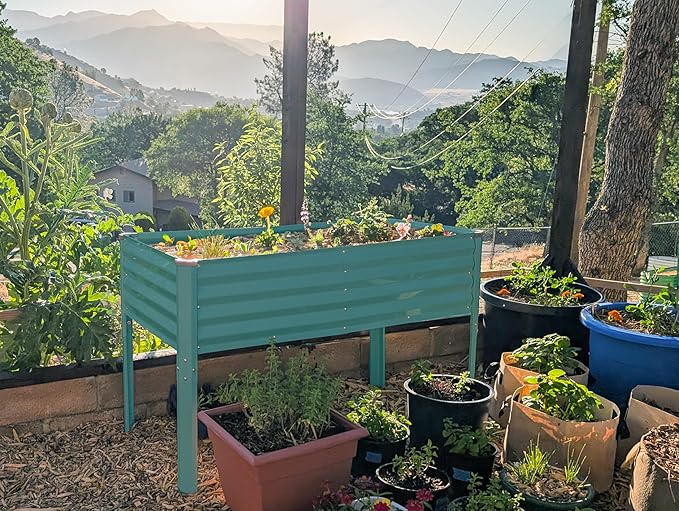 Galvanized Raised Garden Beds Outdoor with Legs // 48×24×31in Elevated Planter Box for Vegetables, Flowers (Turquoise) // Large Metal Garden Bed for Backyard Patio Gardening