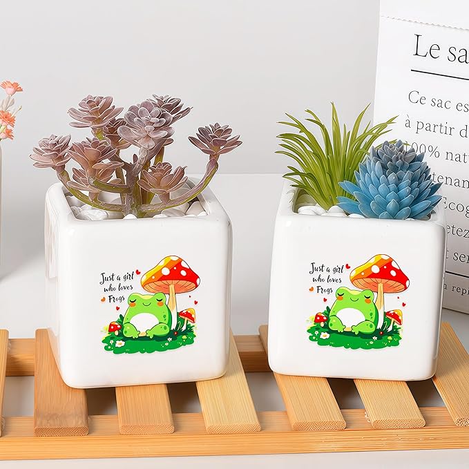 BJDAMAI Frog Succulent Planter Flower Plant Pot Small, Gifts for Women Teens Girls Kids, Frog Lovers Themed Stuff Accessories Things Decor Merch, Home Office Table Desk Decoration!