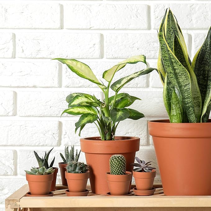 D'vine Dev Pack of 18 Terracotta Pots with Saucers, 3 Inches Terra Cotta Pots with Tray, Clay Pots for Plants & Succulents, Terracotta, 588-A-1-3