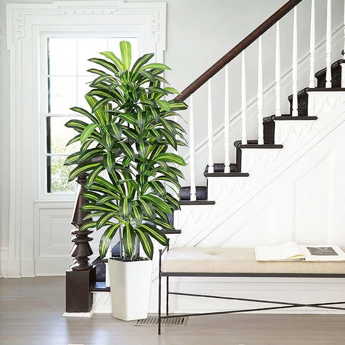 Artificial Dracaena Tree - 6FT Tall Fake Plants with White Tall Planter - Artificial Plants Indoor Floor Plant in Pot - Large Tropical Fake Yucca Potted Tree for Home Office Living Room Decor
