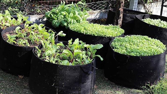 RootEase Garden Planting Fabric Grow Bags, Heavy Duty Durable Fabric Grow Pots, Perfect Harvest Planter, Raised Bed, Eco-Friendly Grow Bags (15 Gallon, Black)