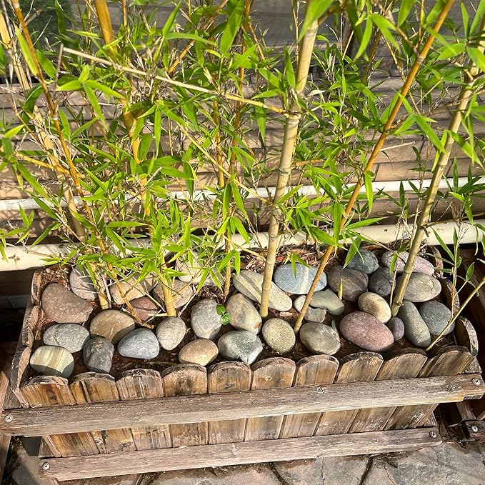 FANTIAN 10 Pounds Large River Rocks, 3-4 Inch Natural Pebbles for Landscaping, Garden, Aquarium, Backyard and Indoor Water Fountains
