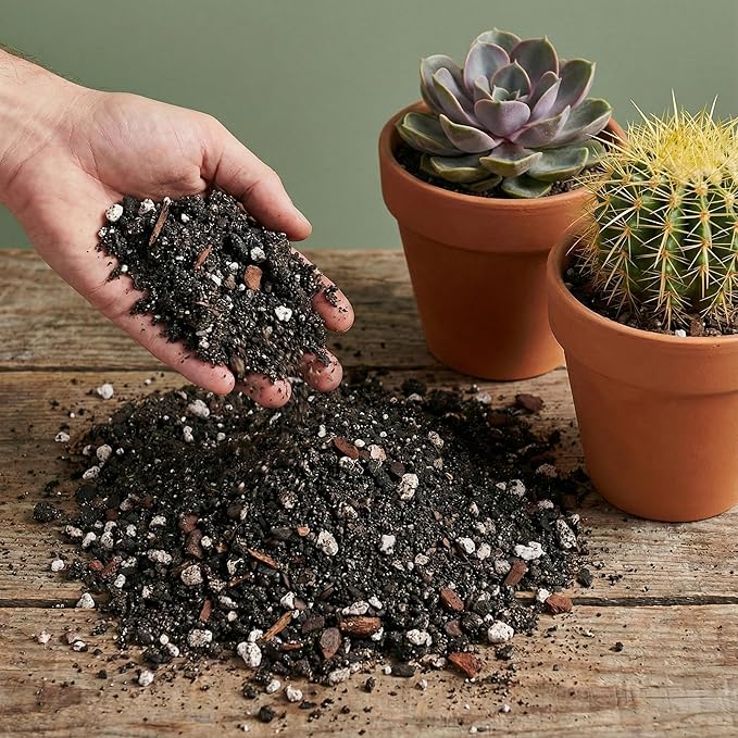 The Soil Sage Cactus & Succulent Potting Mix - 5 Dry Quarts Premium Gritty Fast Draining Soilless Potting Mix for Cactus, Succulents, Jade, Aloe Vera - Healthy Roots - Made in USA